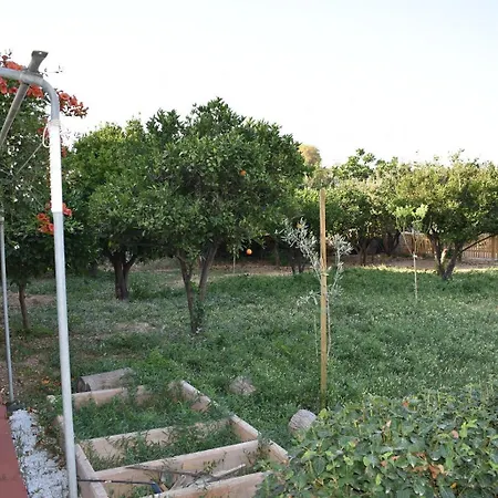 Agrokipos Tiny * ريثيمنو