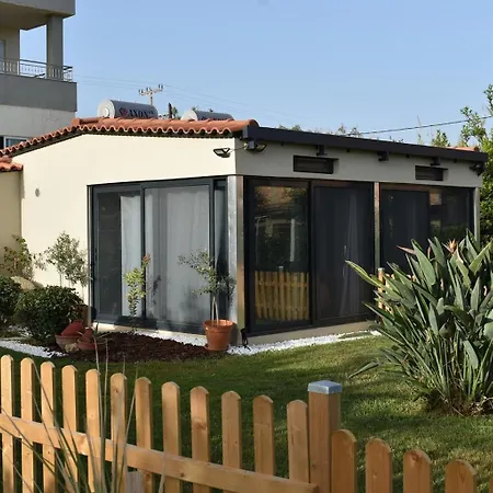 Agrokipos Tiny
