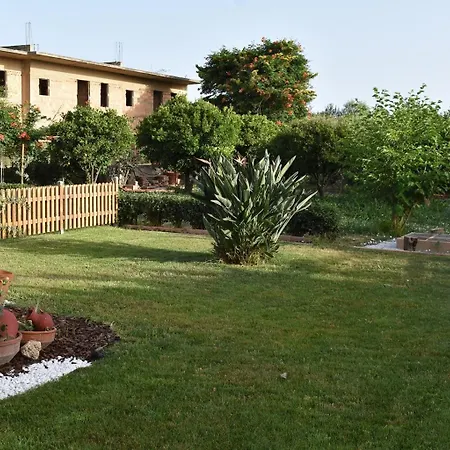 Agrokipos Tiny Rethymno (Crete)