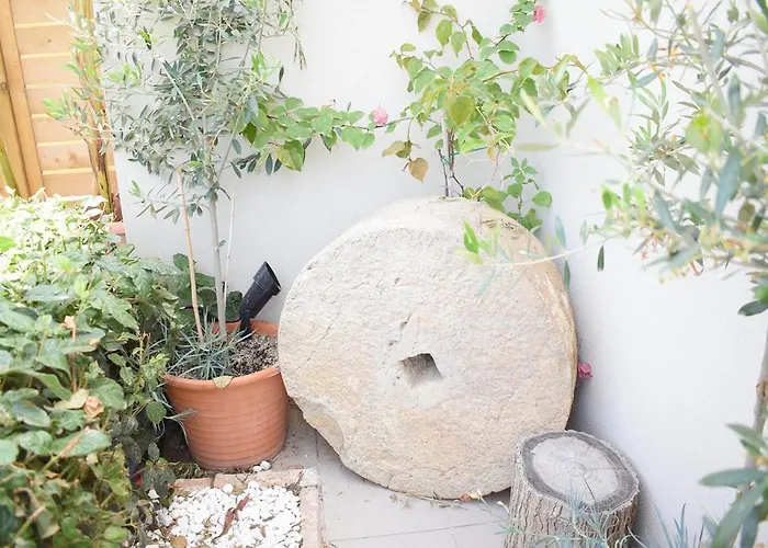 Agrokipos Tiny * Retimno